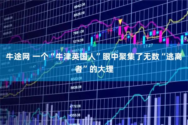牛途网 一个“牛津英国人”眼中聚集了无数“逃离者”的大理