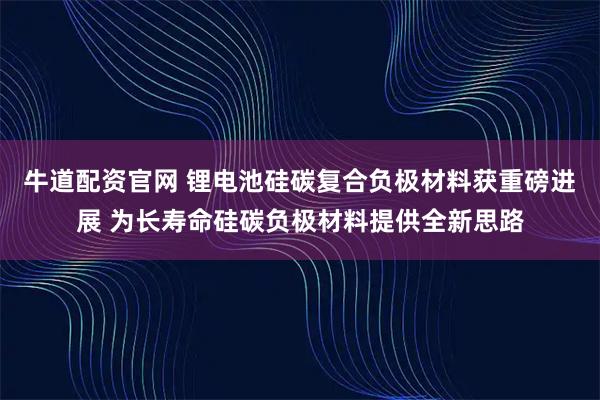 牛道配资官网 锂电池硅碳复合负极材料获重磅进展 为长寿命硅碳负极材料提供全新思路